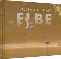 Flusslandschaft Elbe
